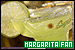  Margaritas