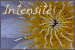  Intensite